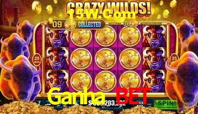 Ganha Bet Brasília - Betting Features